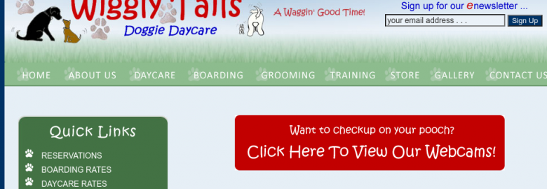 Wiggly Tails Dog Daycare