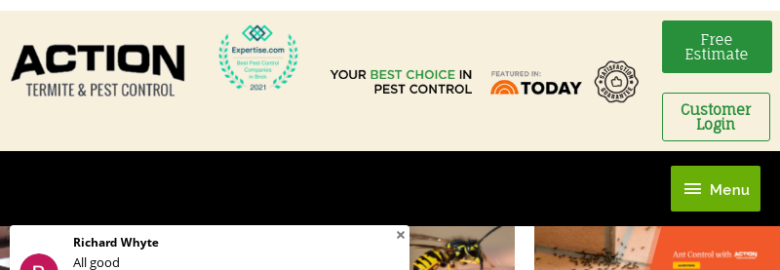 Action Termite and Pest Control