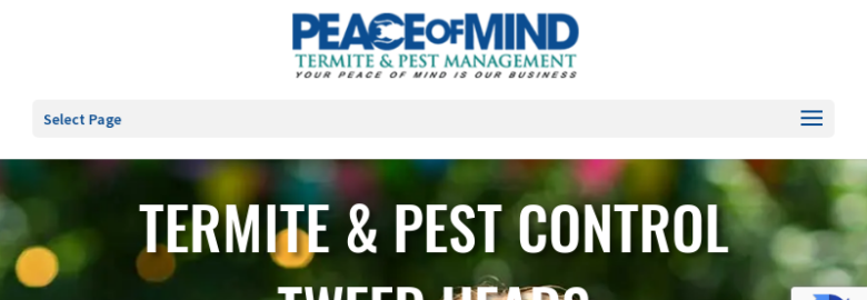 Pom Pest Control: Termite & Pest Management