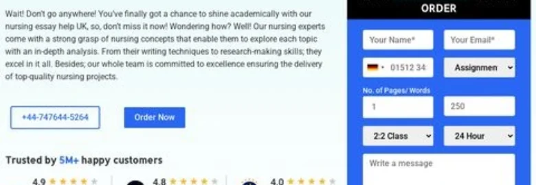 Online Nursing Essay help