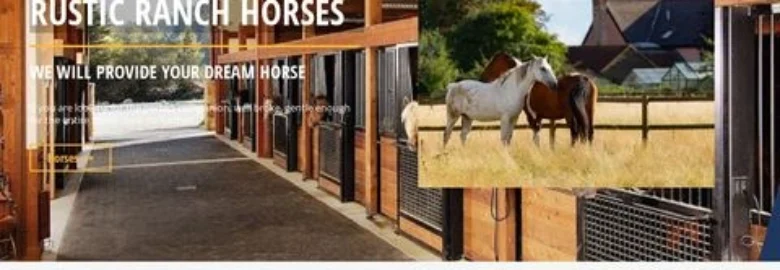 Rustic Ranch Horses